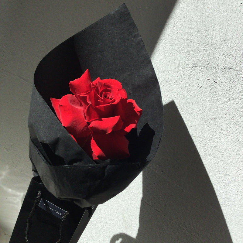 Rosas Prêt-à-Porter Rojo