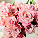 Notched Pink Roses