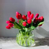 Tulipans holandesos